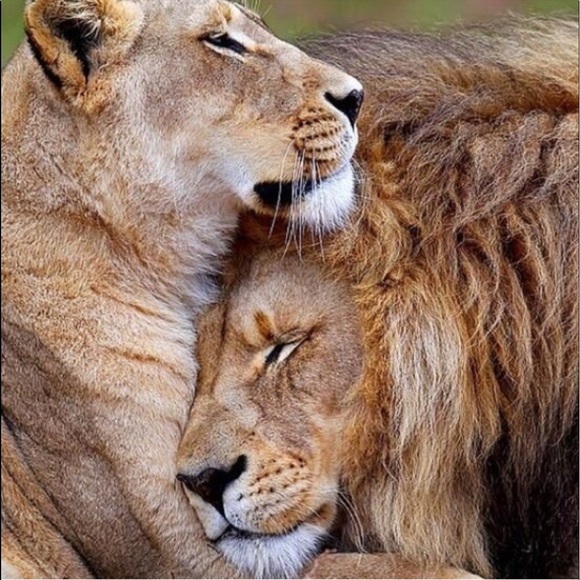 OFFERS WELCOME - Picture 7 of 7